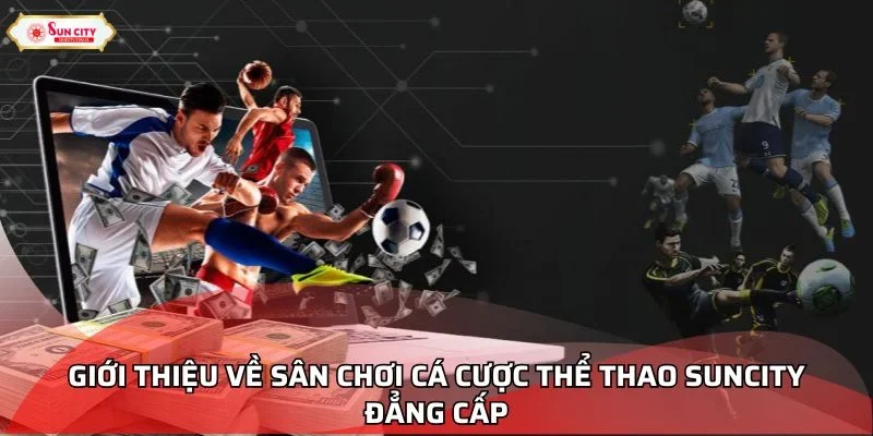 Giới thiệu về sân chơi cá cược thể thao Suncity đẳng cấp